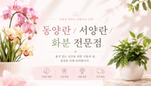 동양란/사영난/화분전문꽃집